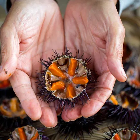 Διαμέρισμα Lena Vecchia
