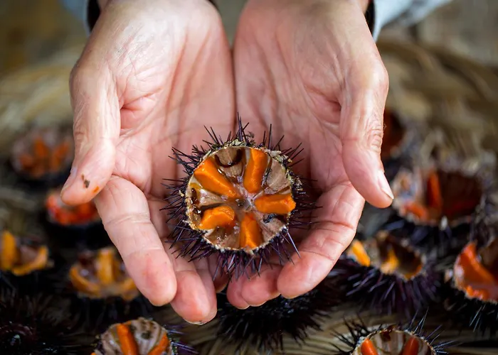 Апартаменты Lena Vecchia